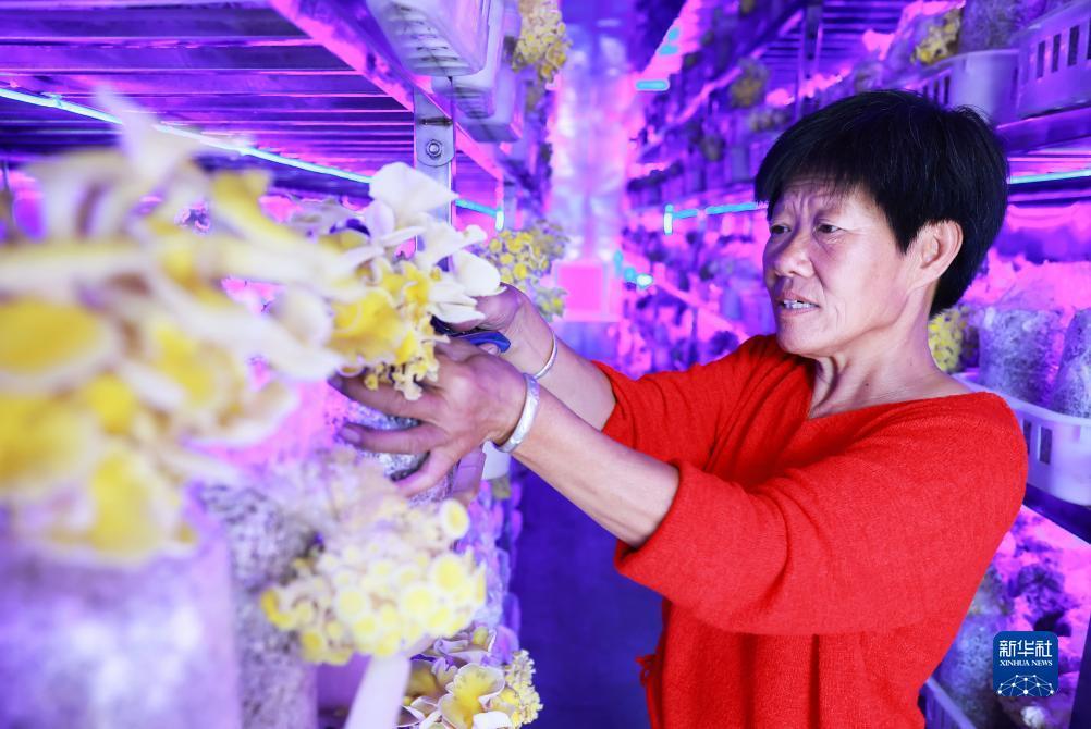 7249金沙怎么打不开